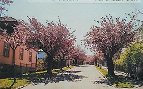 Retro Zahradní Apartmán 1927